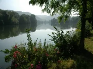 Bank of the Seine