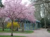 Pougues-les-Eaux - Spaziergang im Frühling