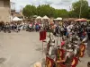 Gallo-Roman Festival