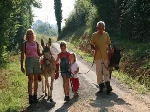 Walk with donkeys and llama
