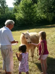 Meeting with Lama