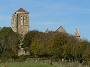 Collégiale de Précy-sous-Thil (© Frantz)