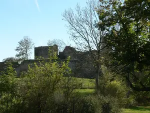 Paysage de Précy-sous-Thil (© Frantz)