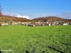 Présentevillers - Panorama (© JE)