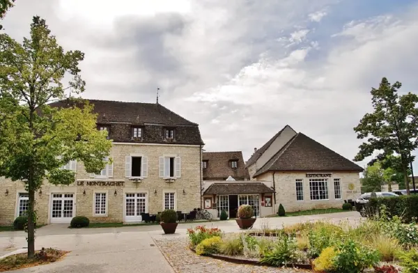 Puligny-Montrachet - Tourism, holidays & weekends guide in the Côte-d'Or