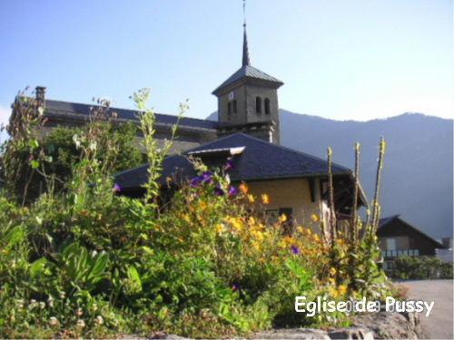 Pussy - Pussy Church
