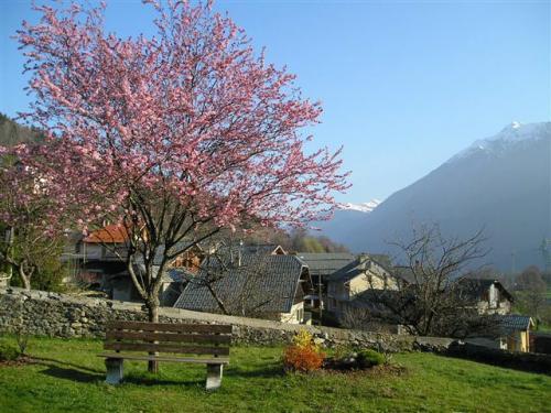 Pussy - Village