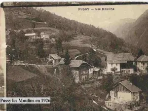 Pussy en 1926