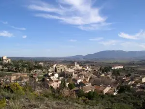 The roofs Puyloubier