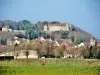 Ray-sur-Saône - Gids voor toerisme, vakantie & weekend in de Haute-Saône