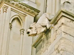 Cathédrale - Gargouille façade Nord (© Jean Espirat)