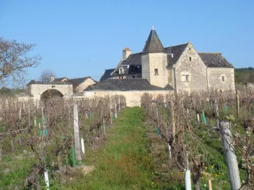 Manoir de Brûlon - Monument à Restigné