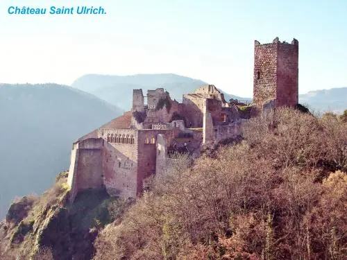 Ribeauvillé - Ruines du château de Saint-Ulrich (© Jean Espirat)