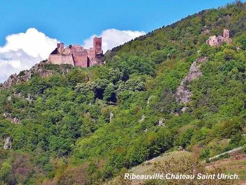 Ribeauvillé - Ruines du Saint-Ulrich et du Girsberg à droite (© J.E)