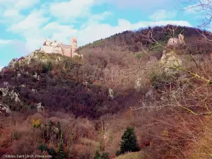 Château de Saint-Ulrich, links, gezien vanaf de wijngaarden (© J.E)