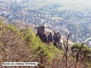 Girsberg kasteel, gezien vanaf de Haut-Ribeaupierre Trail (© J.E)