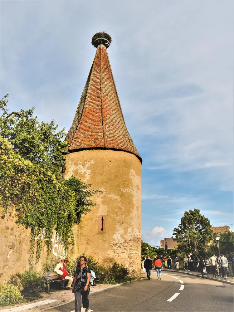 Ribeauvillé - Tour des cigognes, sud (© J.E)