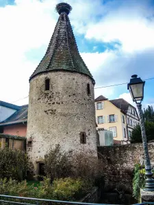 Torre de la Cigüeña, Norte (© J.E)