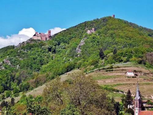 Ribeauvillé - Châteaux de Ribeauvillé