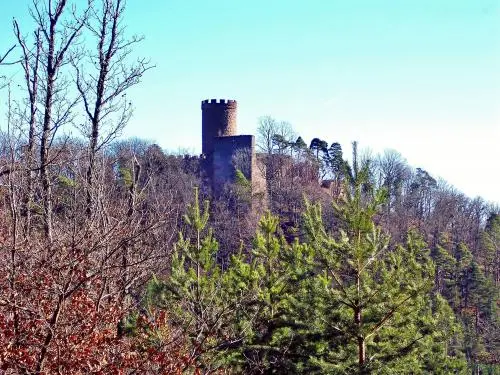 Ribeauvillé - Château du Haut-Ribeaupierre