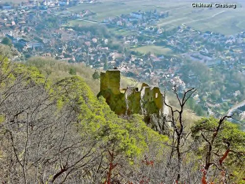 Ribeauvillé - Château du Girsberg