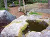 Taennchel - Rochers des Géants (pierres à bassins)