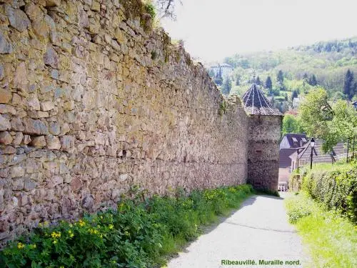 Ribeauvillé - Muraille Nord de Ribeauvillé