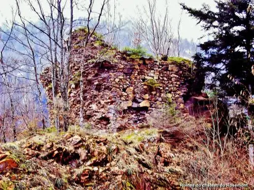 Riervescemont - Rosemont Castle Ruin