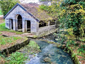 Laundry of paradise, on the brook Noirfond (© J.E)