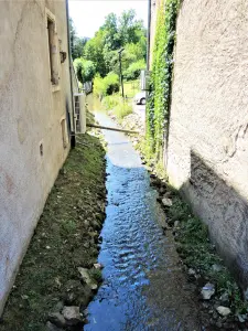 Creek, in the town center (© J.E)