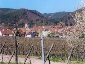 Het dorp in het voorjaar