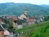 Vista di Riquewihr