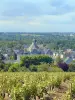 Rochefort-sur-Loire - Gids voor toerisme, vakantie & weekend in de Maine-et-Loire