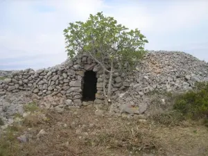 Capitelle, meseta Cahouasses (© Robert y Henry Bey)