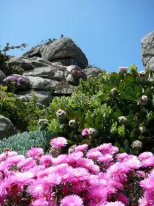 Jardin exotique de Roscoff