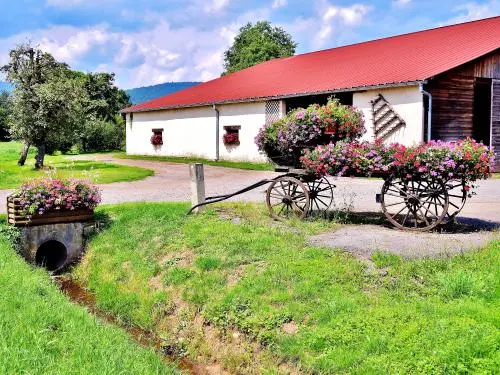 Rougegoutte - Ferme fleurie (© Jean Espirat)