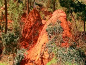 Montículos rojos, en el bosque (© Jean Espirat)