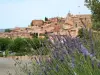 Le village de Roussillon