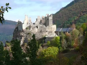 Château d'Usson e Heritage House