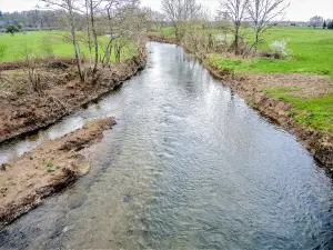 Le Rahin, downstream from the Roye bridge (© JE)