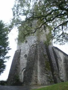 Church Sadroc