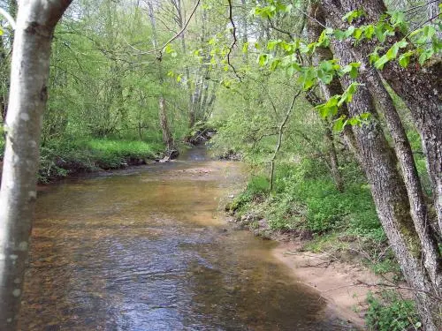 Saint-Agnan - Rivière près de Saint-Agnan