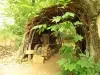 Cabanes du Breuil: feuillardier cabina