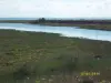 Au loin le Mont-Saint-Michel