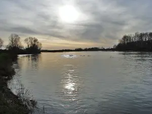 Ufer der Loire