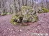 Blocs erratiques sur ancienne moraine (© Jean Espirat)