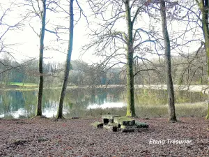 Pond Schatzmeister - Hameau des Enthusiasten, Granges du Bois (© Jean Espirat)