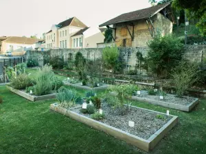 Il giardino medievale