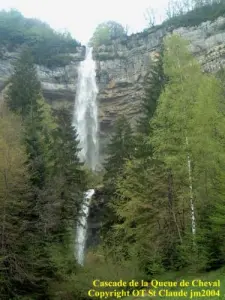 Paard Staart Waterval