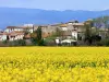 Saint-Couat-d'Aude - Tourism, holidays & weekends guide in the Aude